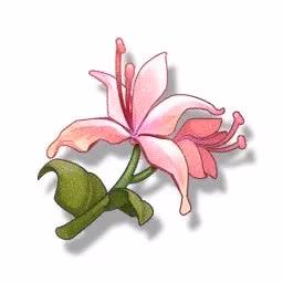 my-journey-with-encore-mastering-the-fusion-prodigy-in-wuthering-waves-image-3